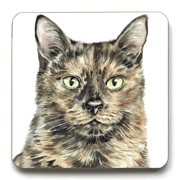 Tortoiseshell Cat