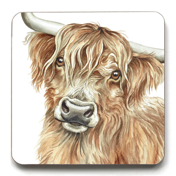 Highland Cow