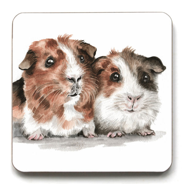 Guinea Pigs