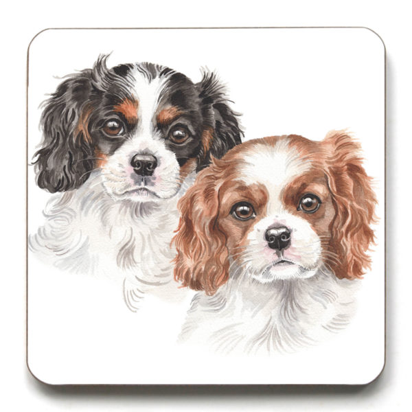 Cavalier King Charles Spaniel Puppies