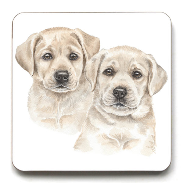 Yellow Labrador Puppies