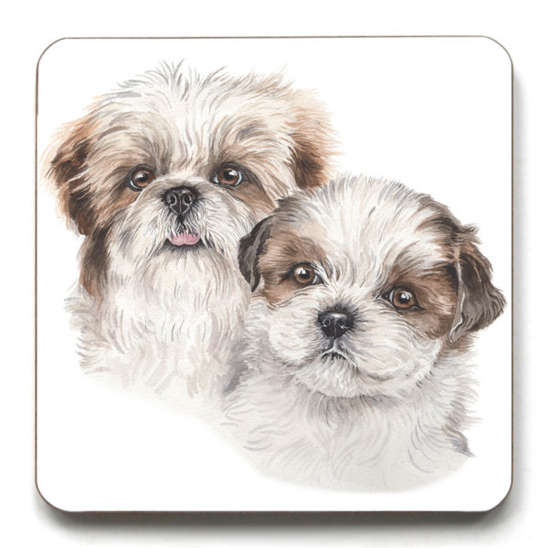 Shih Tzu Puppies