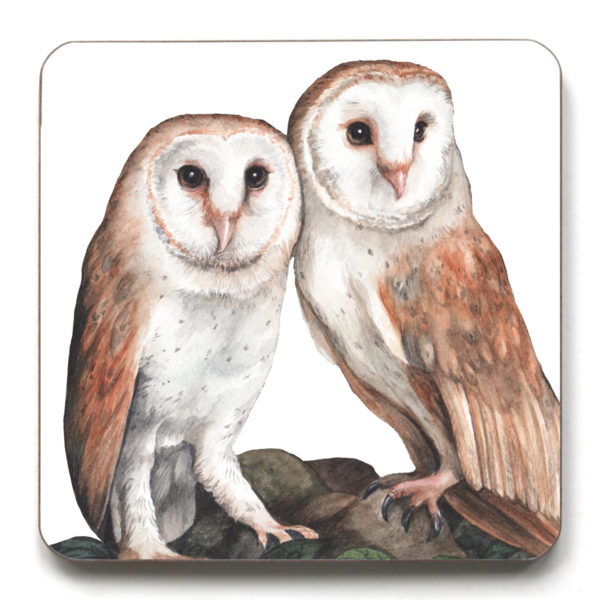 Barn Owl Pair