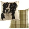 Border Collie Dog Cushion