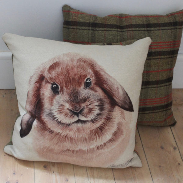 Rabbit  Cushion