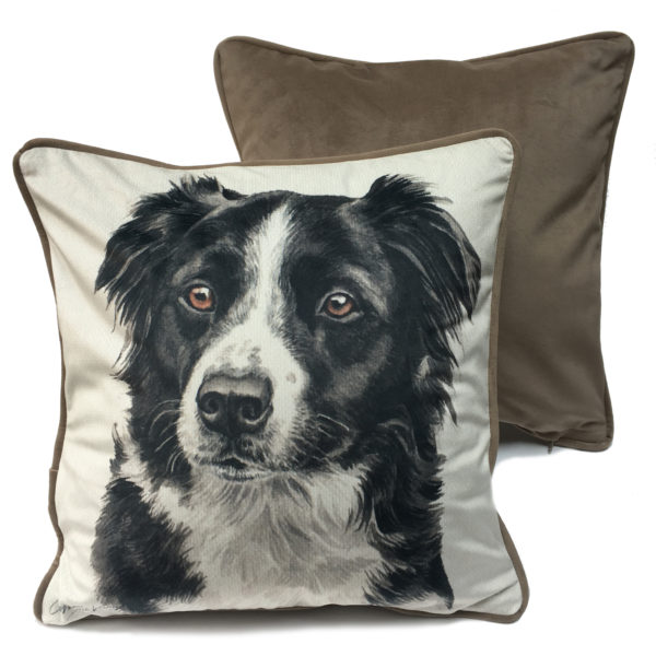 CUS-UK154 Border Collie Cushion by Christine Varley WaggyDogz