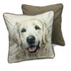 CUS-UK199 Golden Retriever Dog Cushion