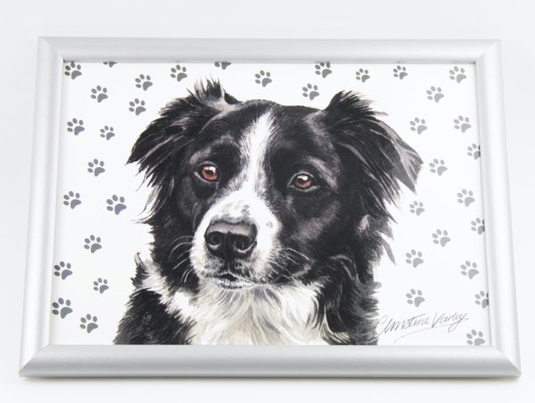 Border Collie Dog Lap Tray (VLT-154)