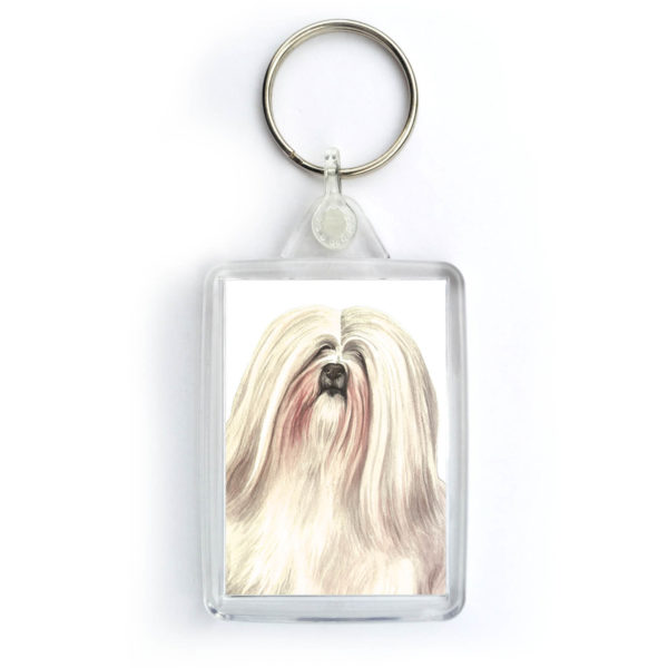 Lhasa Apso Dog KRG-146