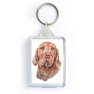 Wirehaired Hungarian Vizsla Dog Keyring (KRG-188)