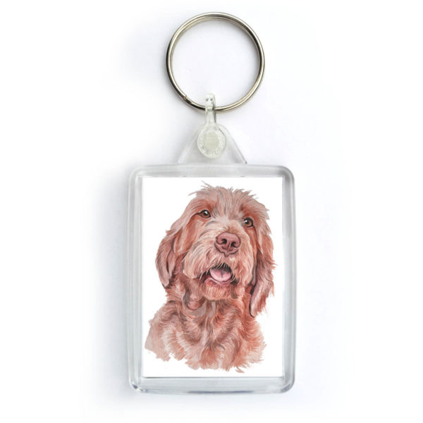 Wirehaired Hungarian Vizsla Dog Keyring (KRG-189)