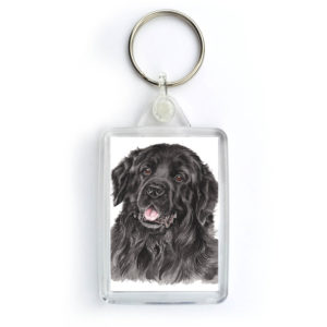 Newfoundland Dog Keyring (KRG-211)