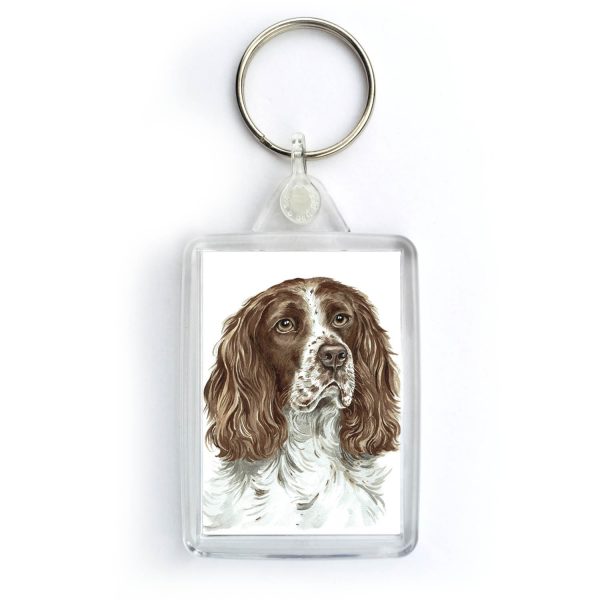 Springer Spaniel Dog KRG-243