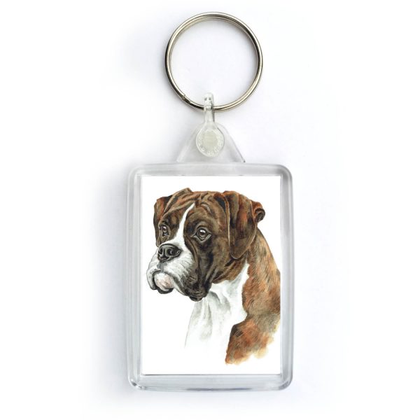 Brindle Boxer Dog KRG-244