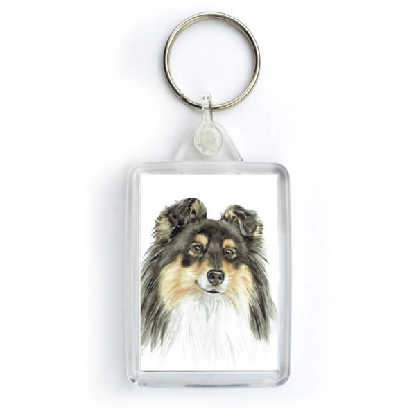 Tri Shetland Sheep Dog KRG-257