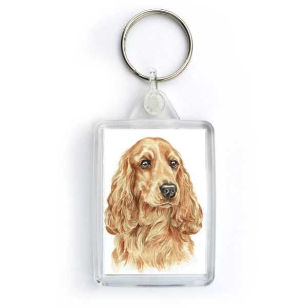 Golden Cocker Spaniel dog KRG-258