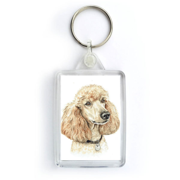 Apricot Poodle Dog keyring (KRG-265)