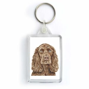 Chocolate Cocker Spaniel