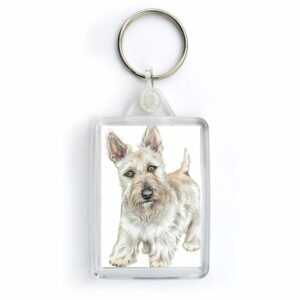 Wheaten Scottish Terrier