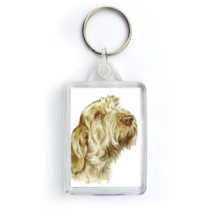 Italian Spinone Dog Keyring (KRG-77)