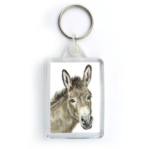 Donkey Donkeys KRG-FY12