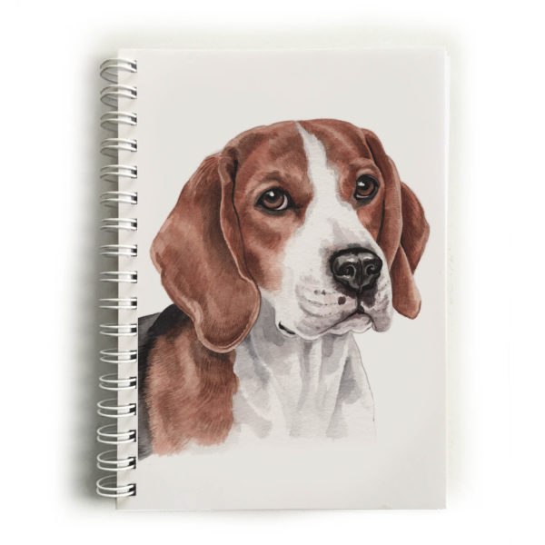 Beagle Notebook