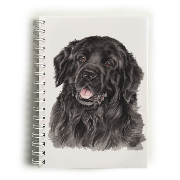 Newfoundland Notebook