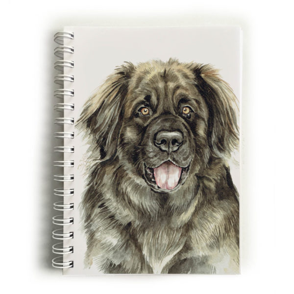 Leonberger dog