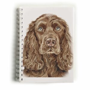 Chocolate Cocker Spaniel Dog