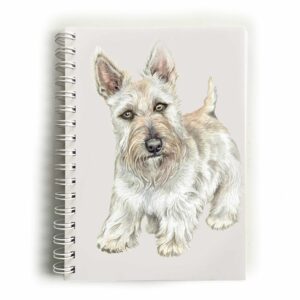 Wheaten Scottish Terrier Dog
