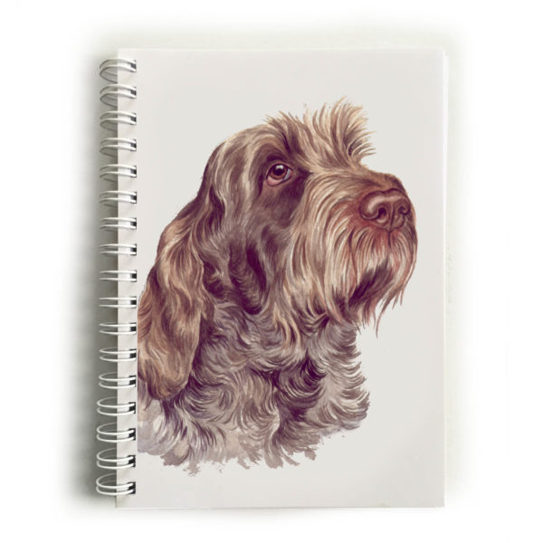 Italian Spinone Notebook