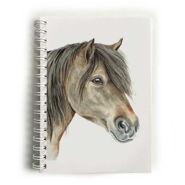 Shetland Pony Notebook