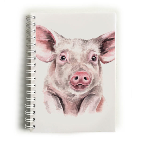 Pig Notebook