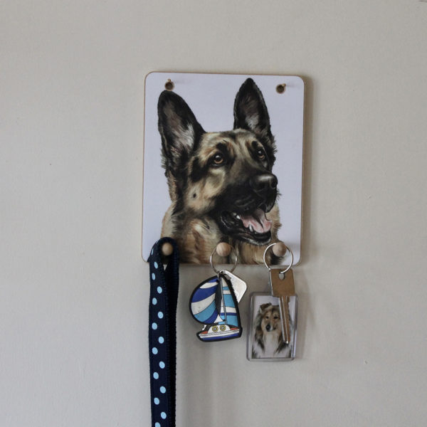 Keyring hook