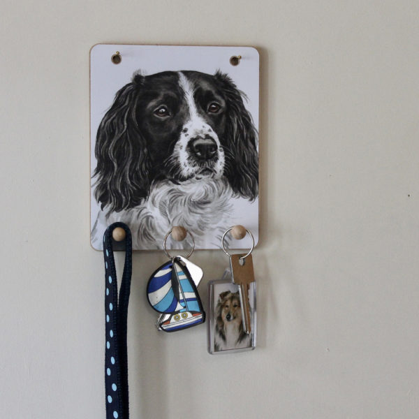 Keyring hook