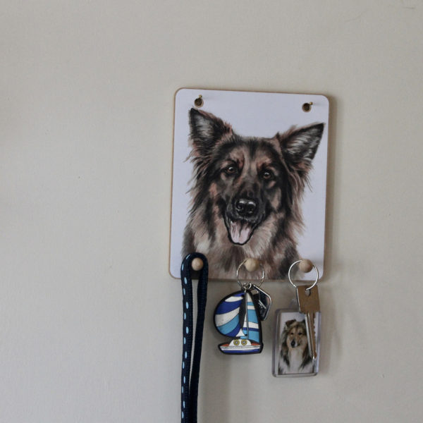 Keyring hook