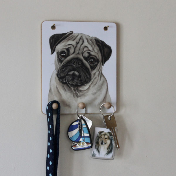 Keyring hook