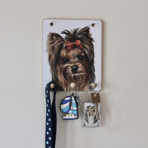 Keyring hook