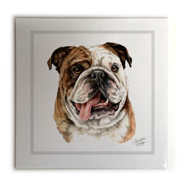 British Bulldog Dog Picture / Print