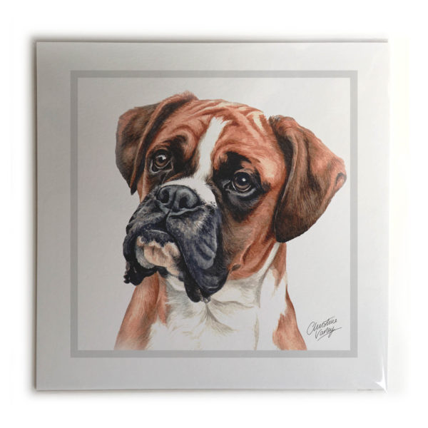 Boxer Dog Picture / Print