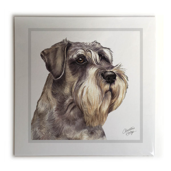 Schnauzer Dog Picture / Print