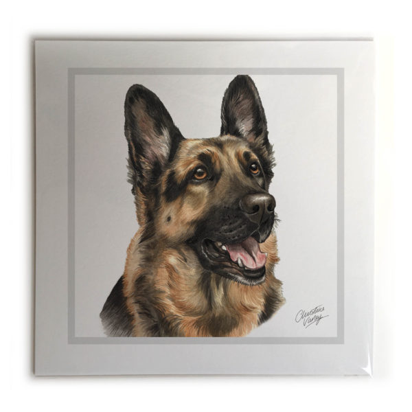 German Shepherd Dog Picture / Print