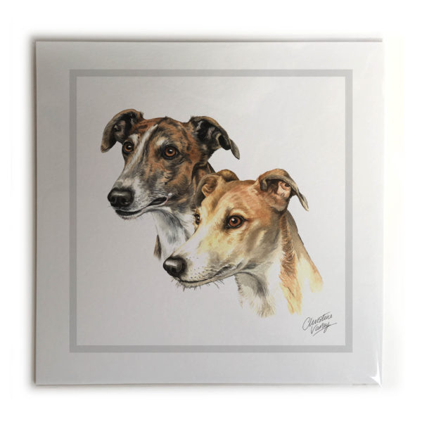 Greyhound Pair Dog Picture / Print