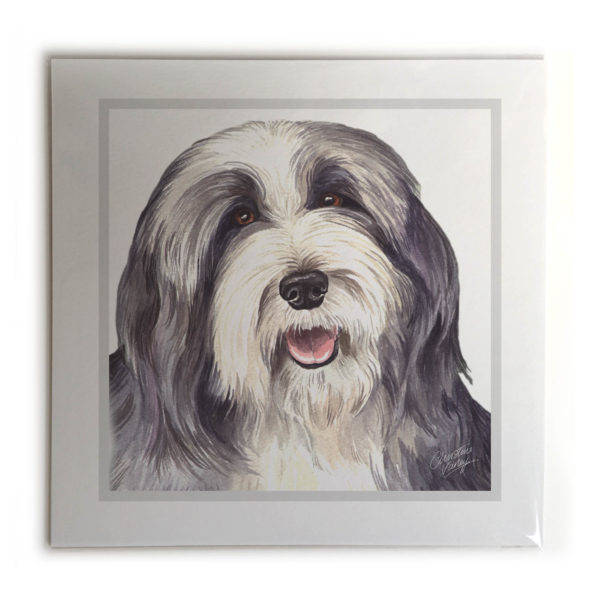 Bearded Collie Dog Picture / Print