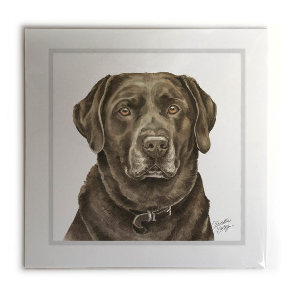Chocolate Labrador Dog Picture / Print