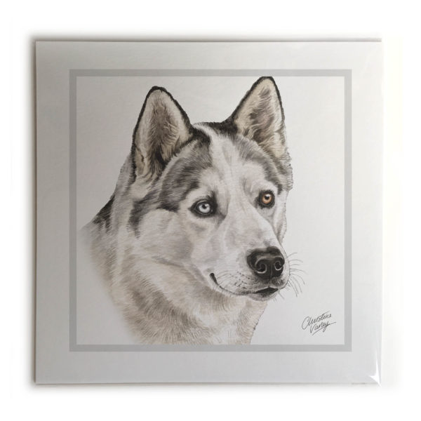 Husky Dog Picture / Print