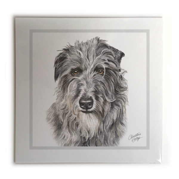 Deerhound Dog Picture / Print