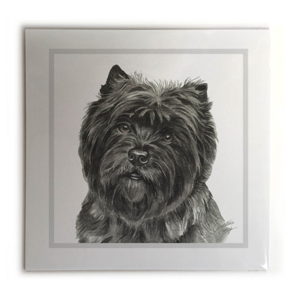 Cairn Terrier Dog Picture / Print