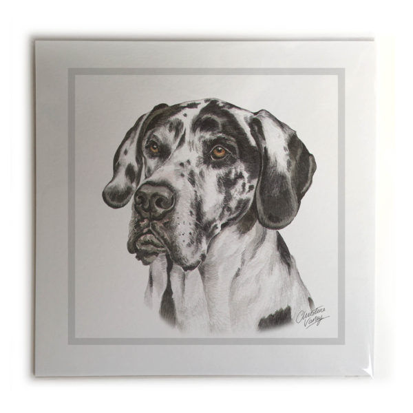 Great Dane Dog Picture / Print