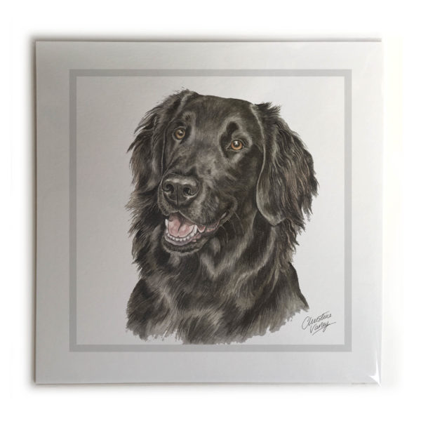 Flat-Coated Retriever Dog Picture / Print